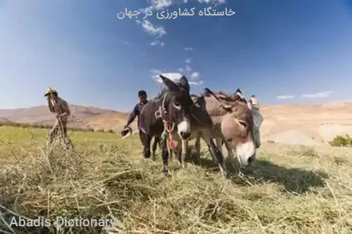 خاستگاه کشاورزی در جهان